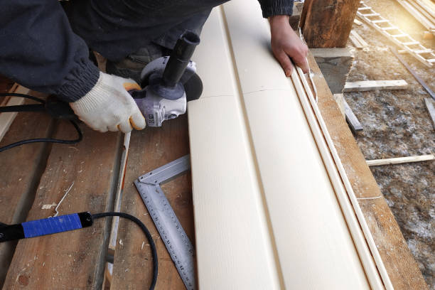 Best Brick Veneer Siding  in Sycamore, GA